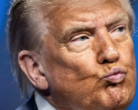 Trump vs Reality Review: Few Network Would Dare TV So Audacious (while also) Repetitive